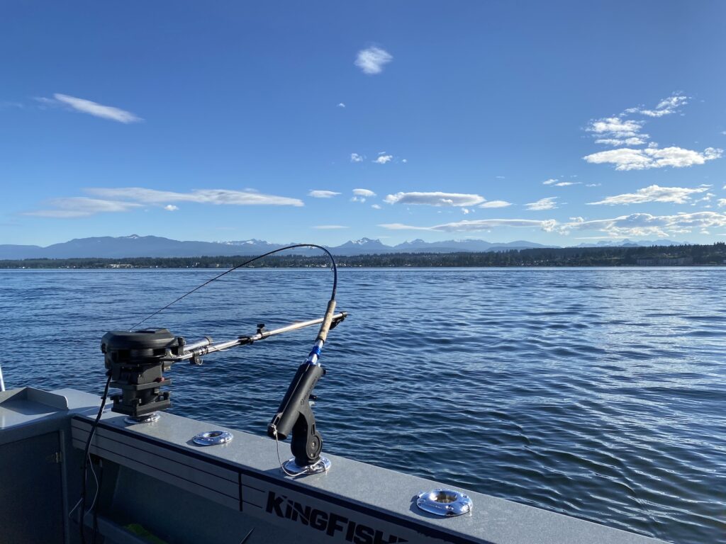 Fishing charter into Tobia Inlet near Campbell River, showing rods tight under pressure off the stern of the Kingfisher vessel.