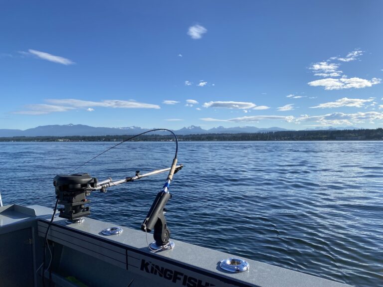 Explore Tobia Inlet – A Remote West Coast Fishing Hotspot for Unforgettable Salmon Adventures