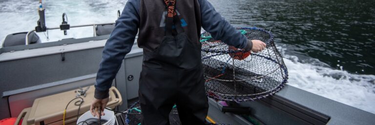 Conservation Rules for Visitors